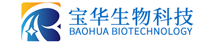 真人电子app_真人（中国）
